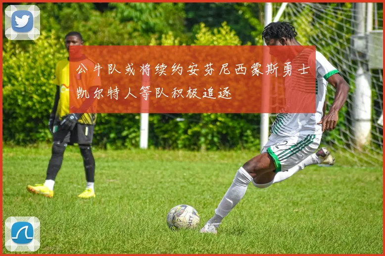 公牛队或将续约安芬尼西蒙斯勇士凯尔特人等队积极追逐
